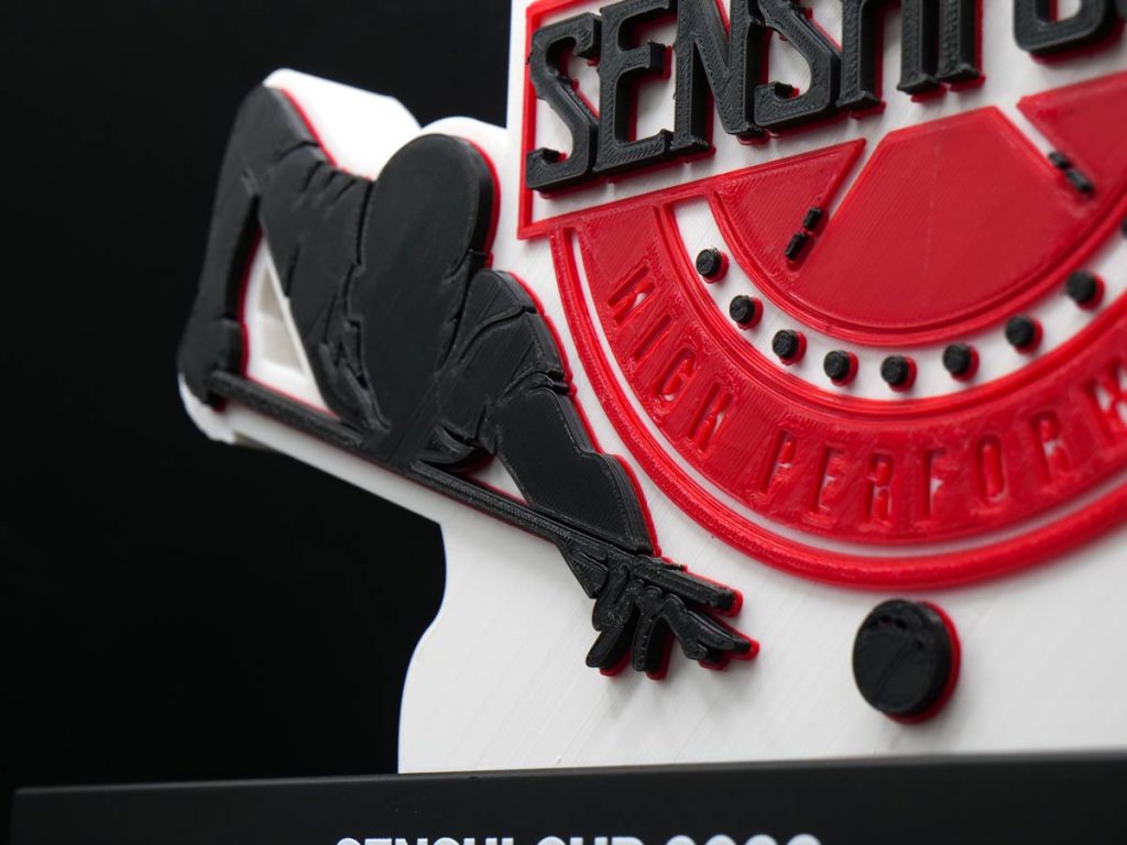 Custom Trophy Detail - Senshi Cues Cup Billiards Champion 2022
