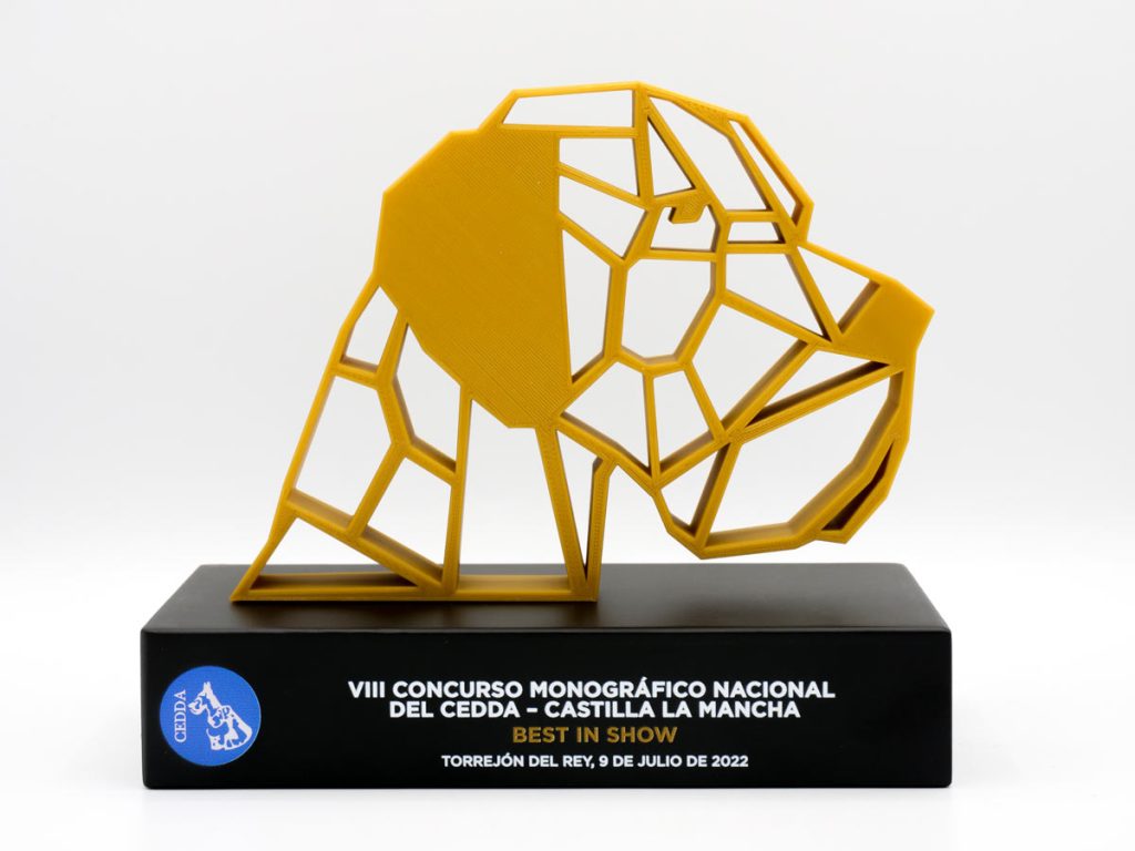 Custom Trophy - Best in Show VIII CEDDA Valencia National Monographic Competition