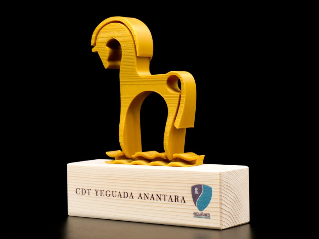Custom Left Side Trophy - Anantara Equitare Stud CDT
