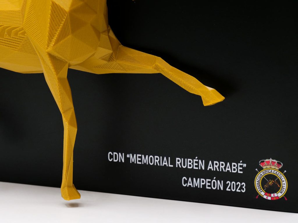 Custom Trophy Detail - Rubén Arrabé Memorial Champion 2022