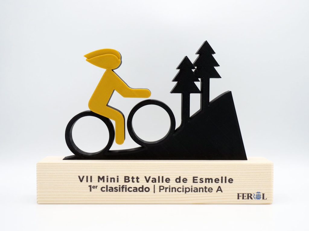 Custom Trophy - VII Esmelle Valley Mini Btt Valley Ferrol