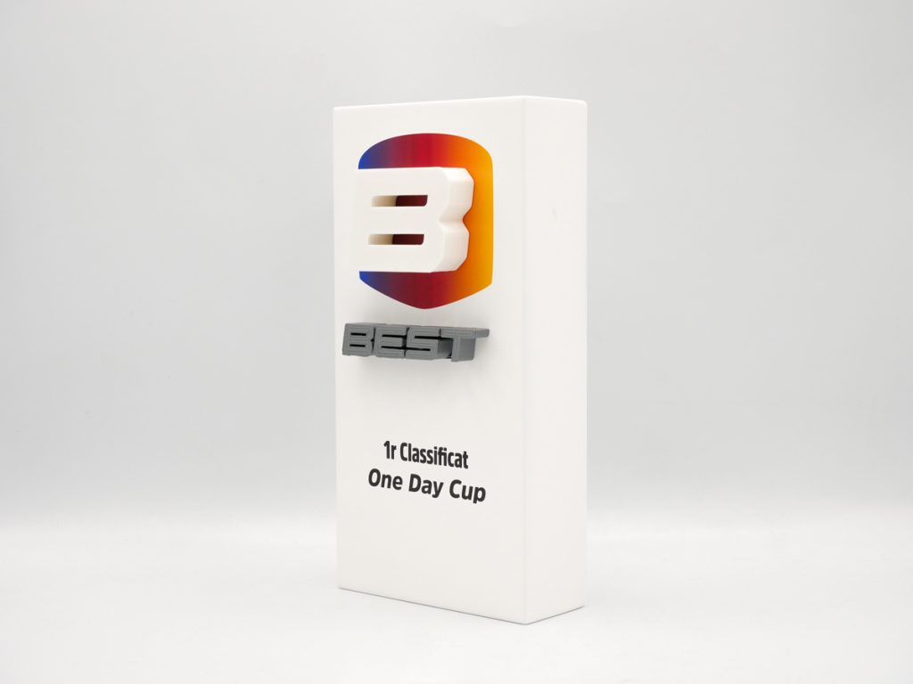 Custom Left Side Trophy - 1st Classified One Day Cup