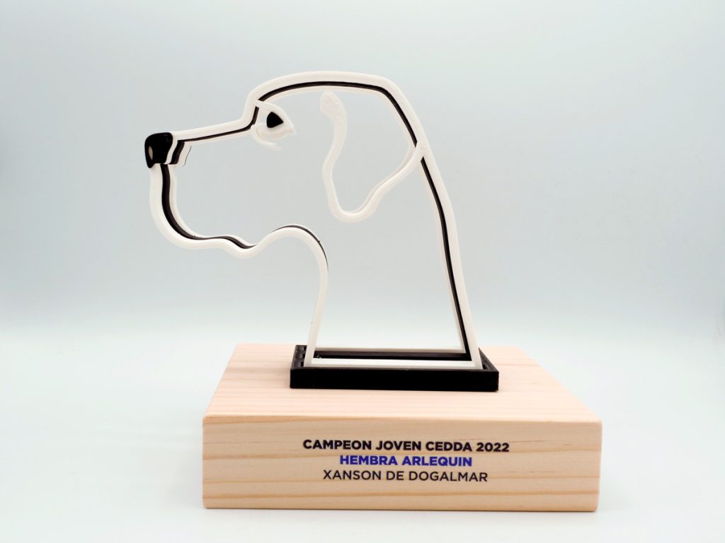 Custom Trophy - Female Harlequin Female Young Champion CEDDA 2022