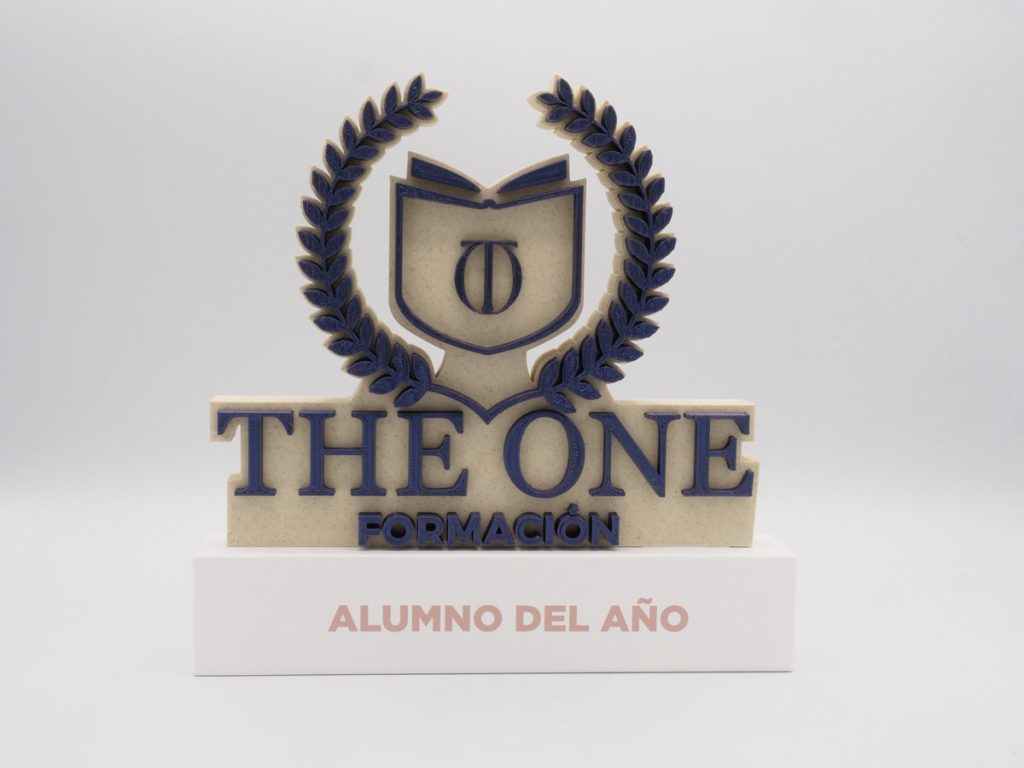 Custom Plaque - Alumnus of the Year The One Training