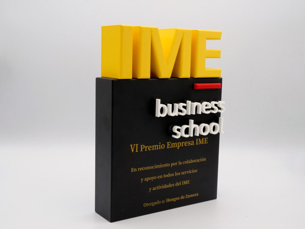 Custom Side Plaque - VI IME Business School Company Award