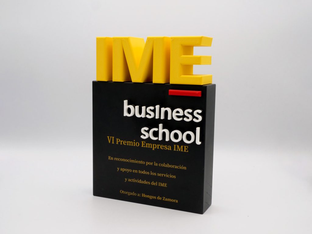 Custom Plaque Detail - VI IME Business School Company Award